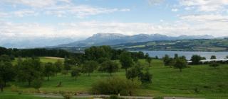 Restaurant Vogelsang Gartenterrasse 01