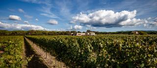 Villanoviana Azienda8