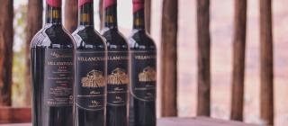 Villanoviana still life Villanoviana